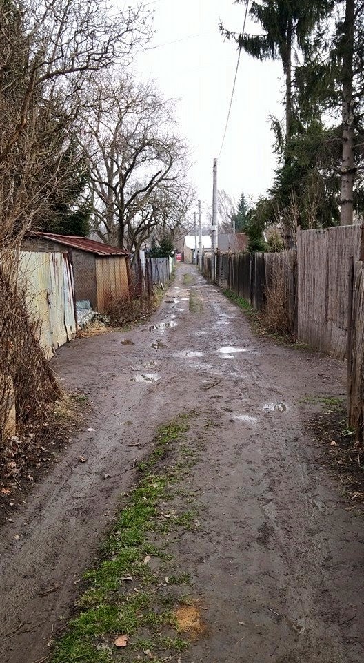 Kolonie Na Slatinách je tvořena především uježděnými bahnitými cestami. Kolonie Na Slatinách je tvořena především uježděnými bahnitými cestami.